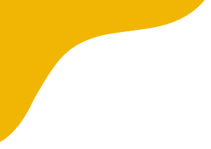 Services Shape icon